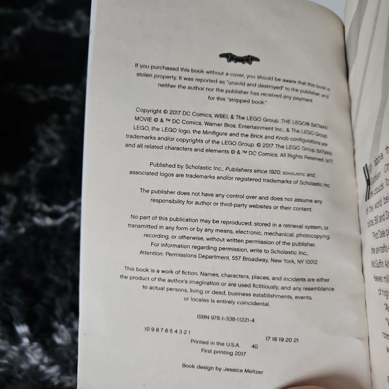 Lego Batman Junior Novel