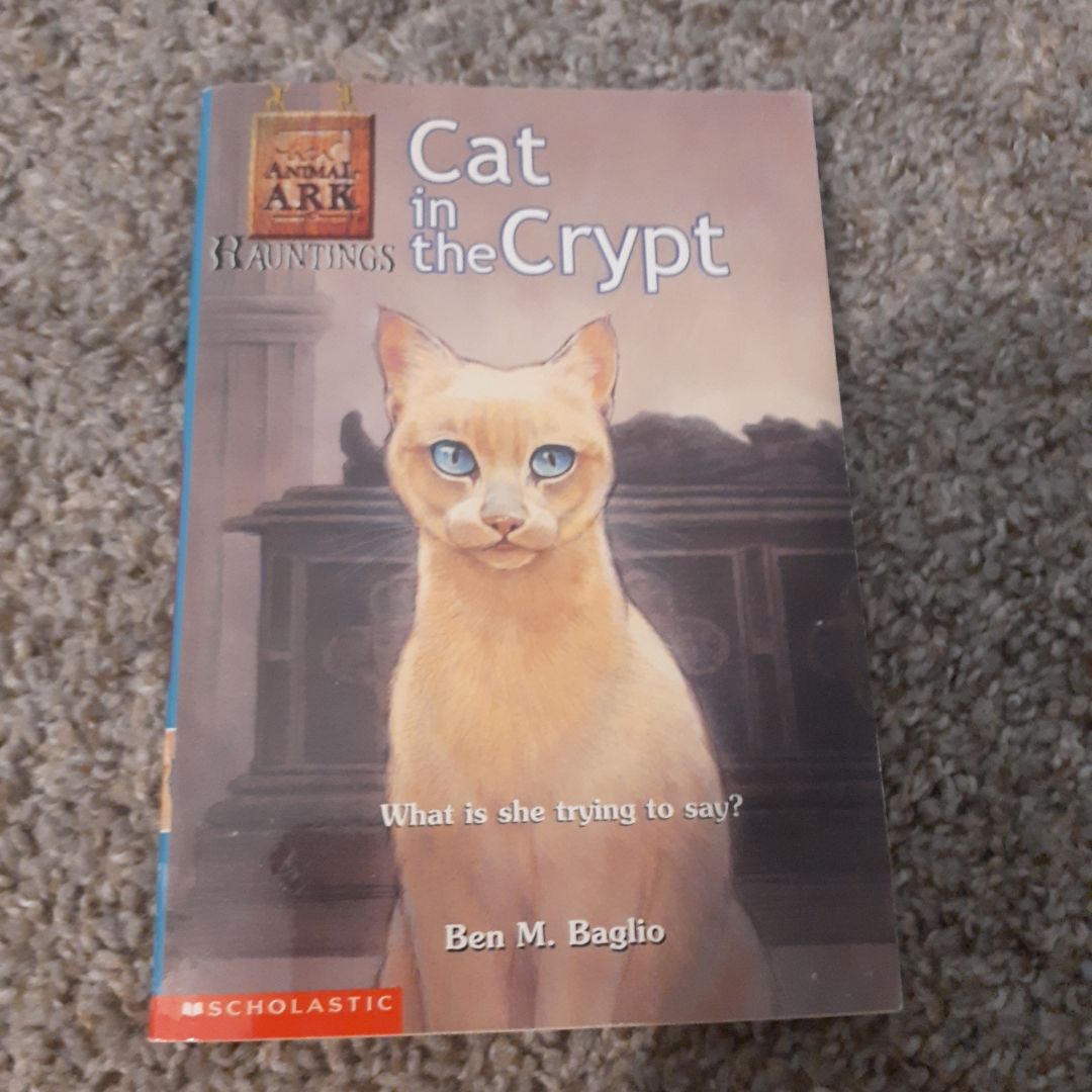 Cat in the Crypt