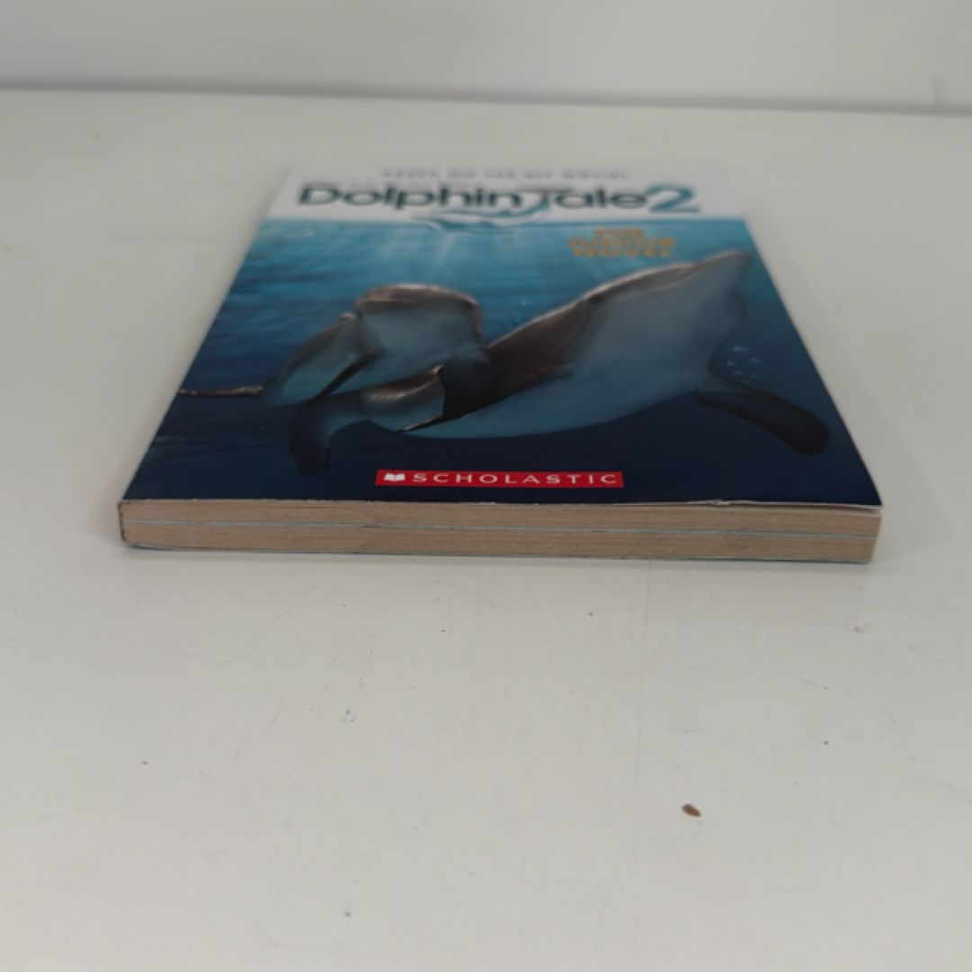 Dolphin Tale 2