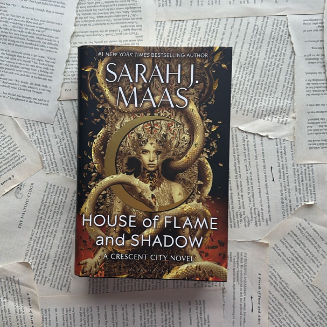 House of Flame and Shadow
