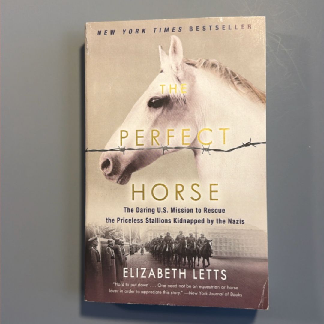 The Perfect Horse