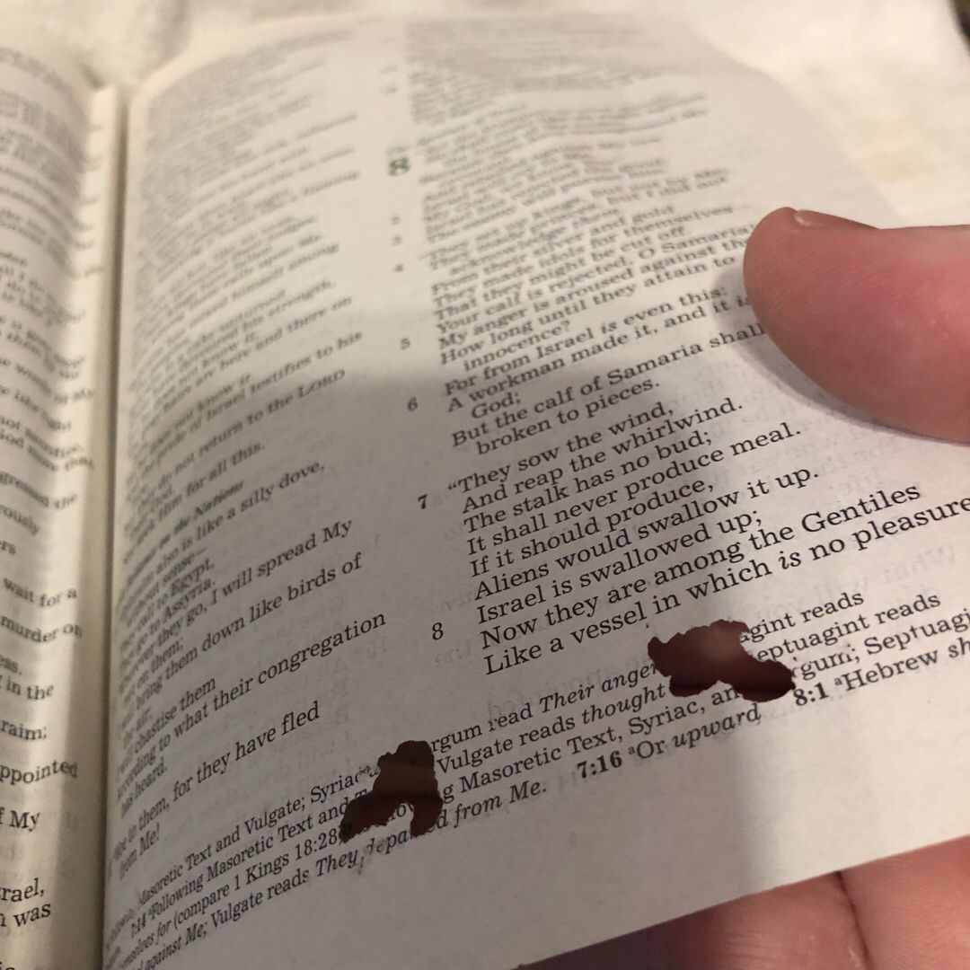 Reflections from the Heart of God