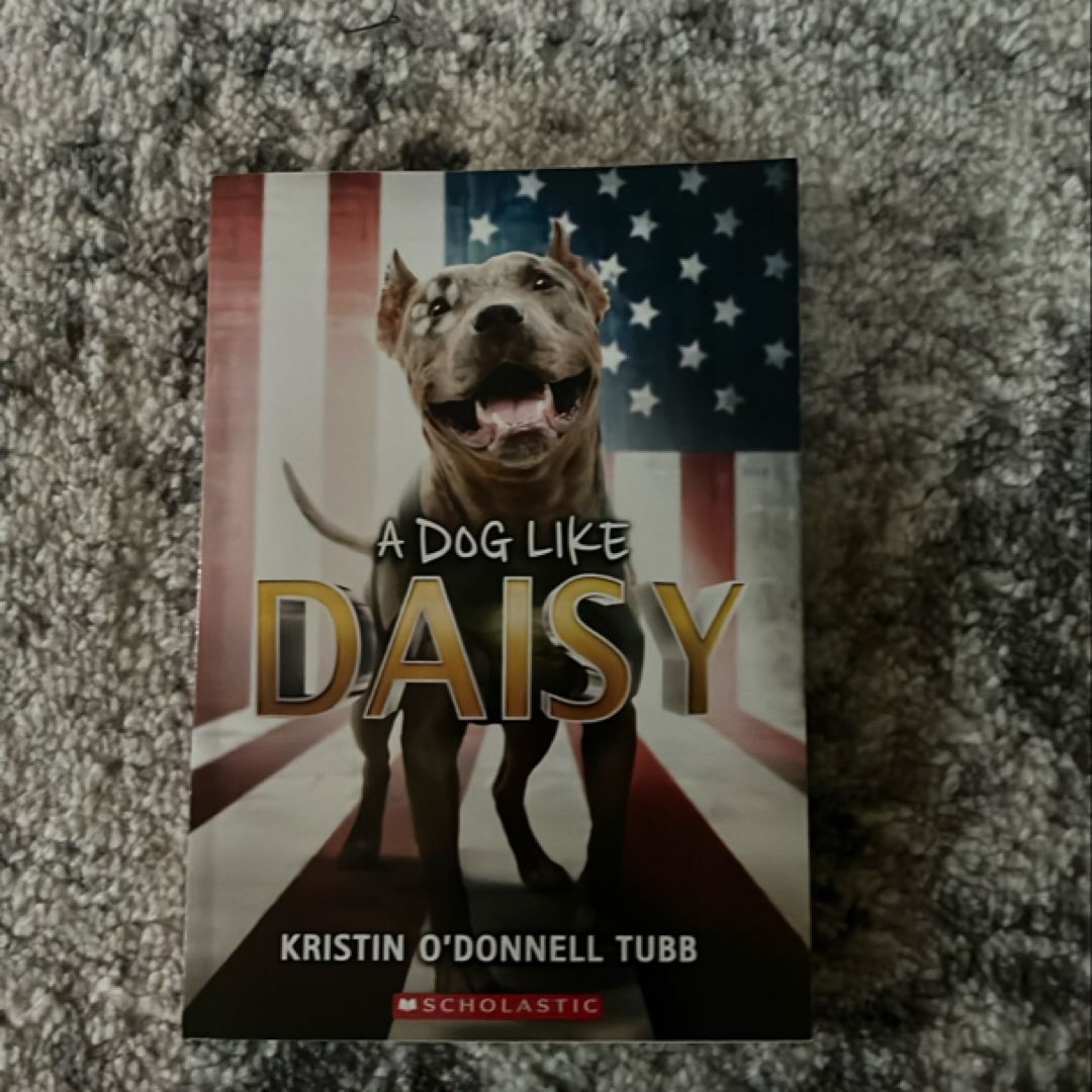 A dog like Daisy