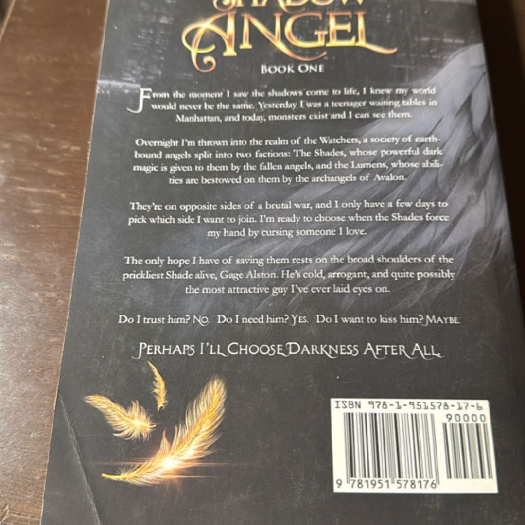 Shadow Angel: Book One by Leia Stone, Julie Hall