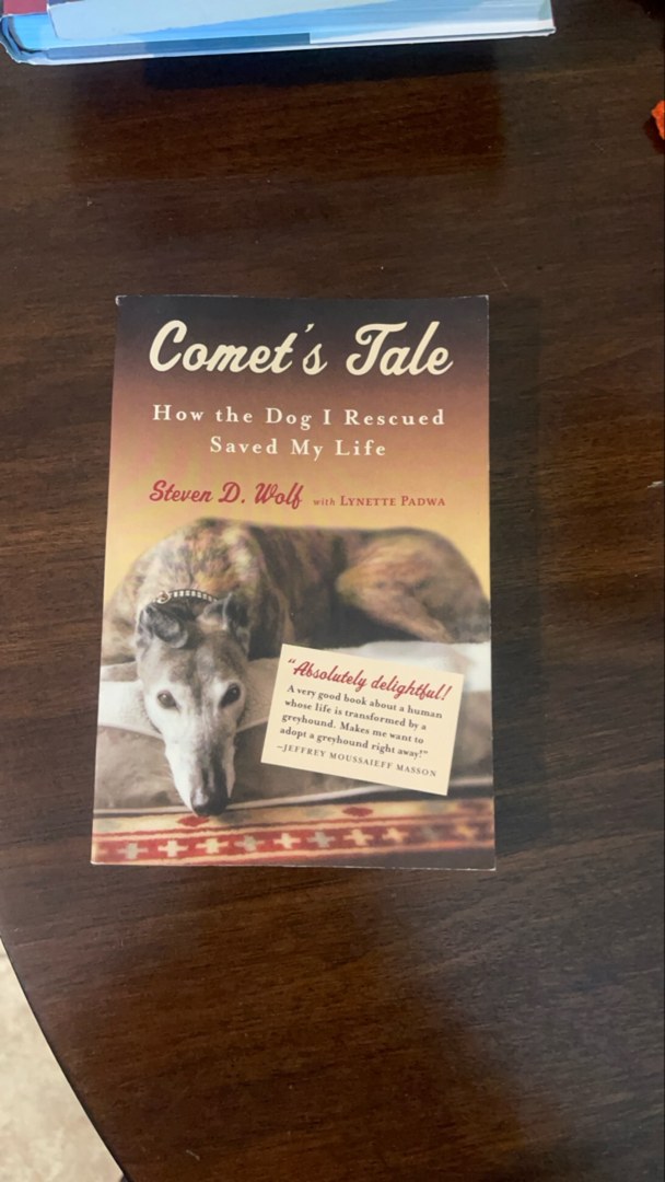 Comet's Tale