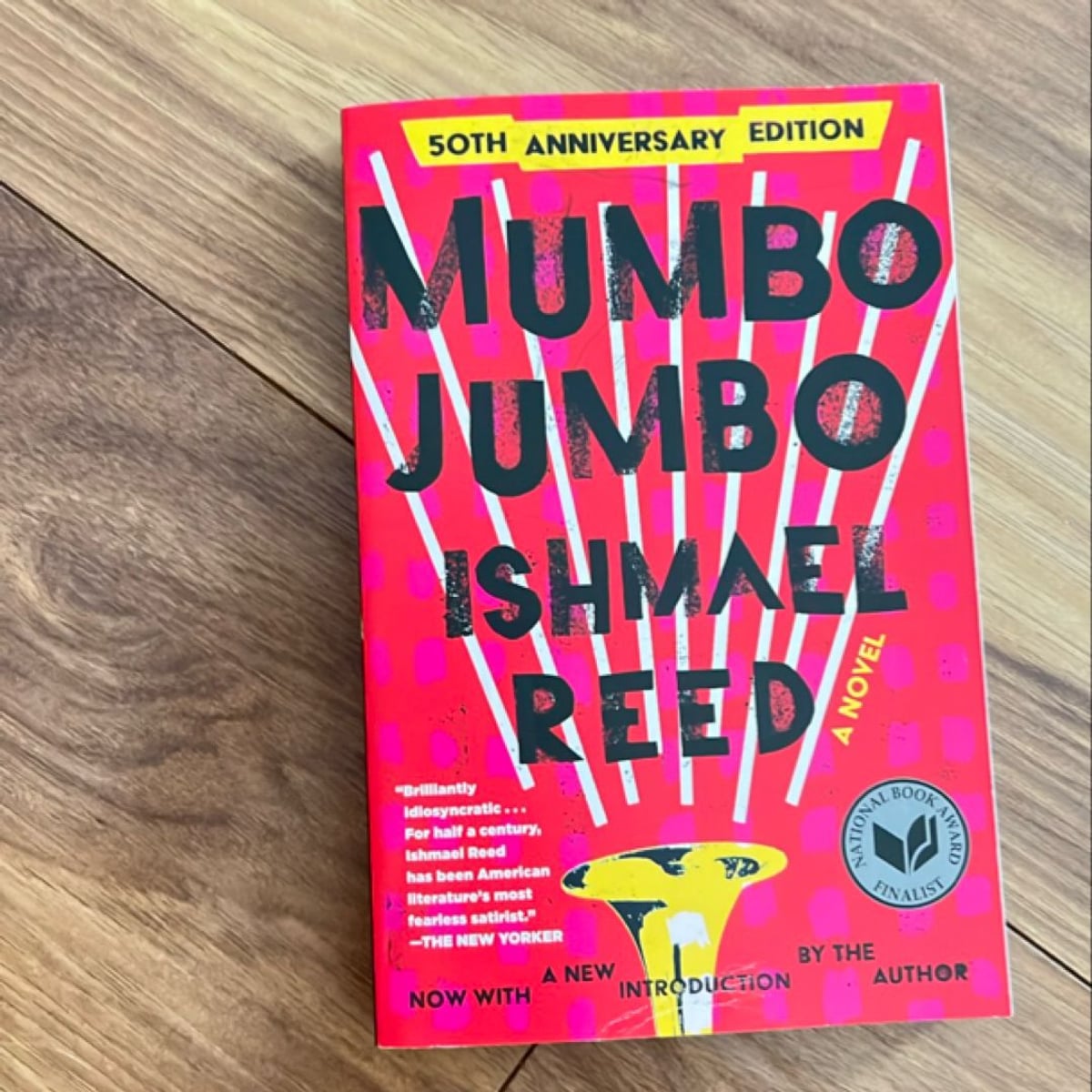 Mumbo Jumbo by Ishmael Reed