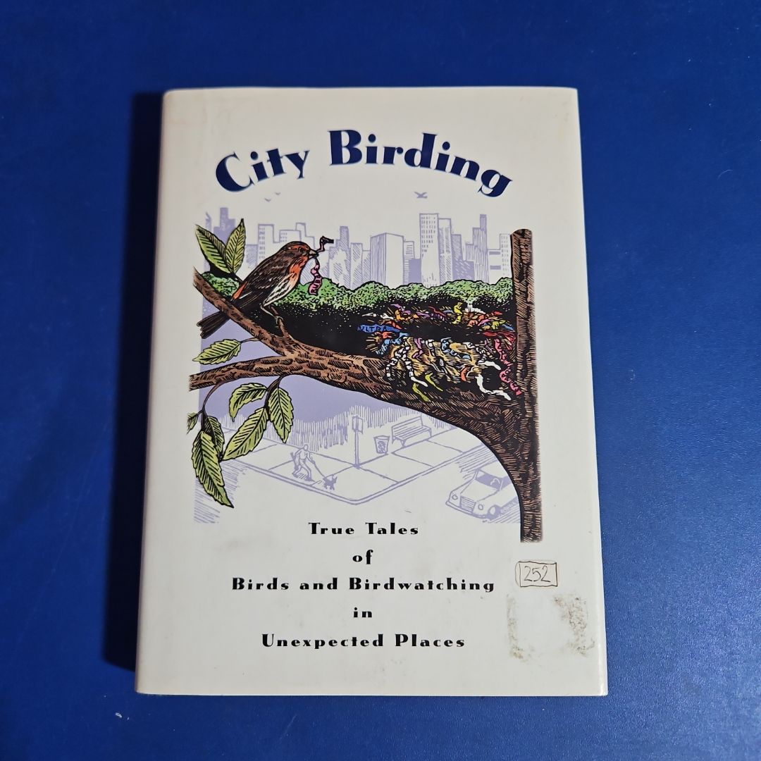 City Birding