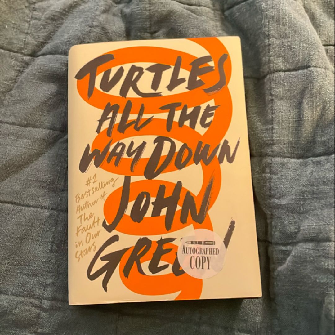 Turtles All the Way Down