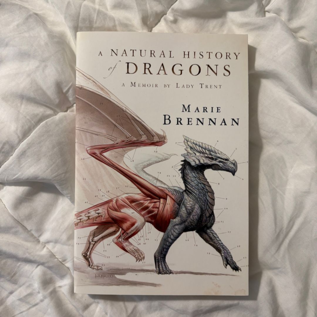 A Natural History of Dragons