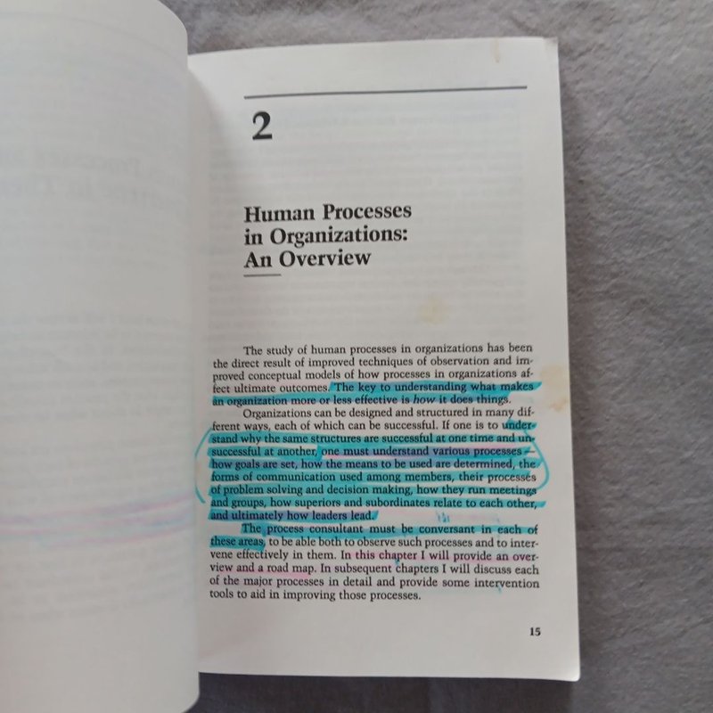 Process Consultation by Edgar H. Schein, Paperback | Pangobooks
