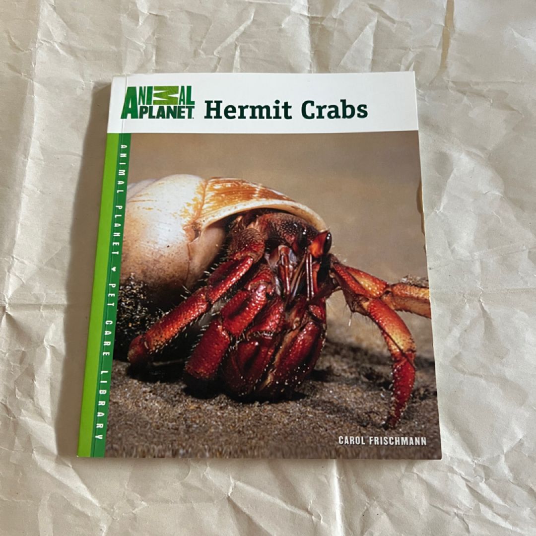 Hermit Crabs