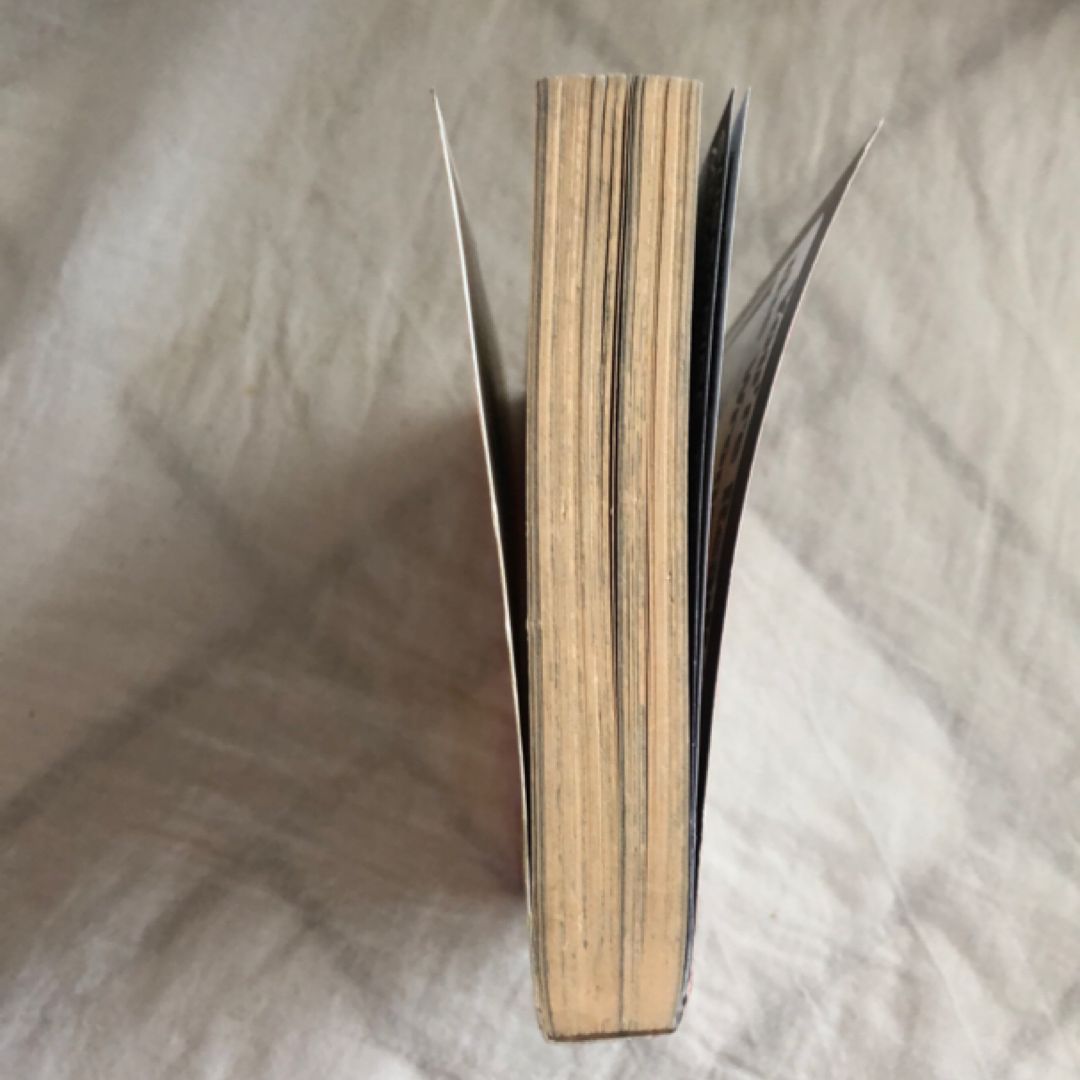 Beet the Vandel Buster, Vol. 3