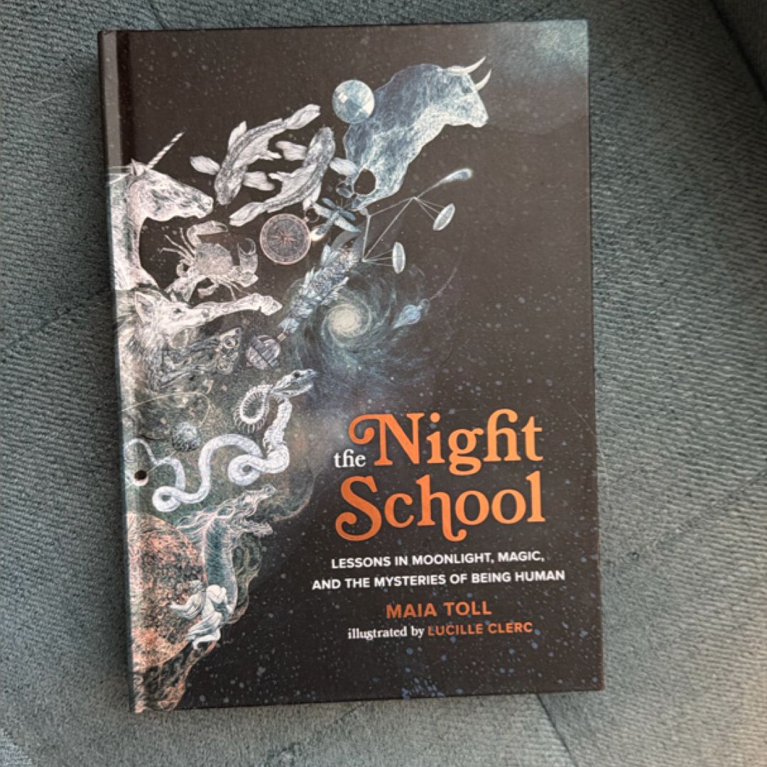 The Night School