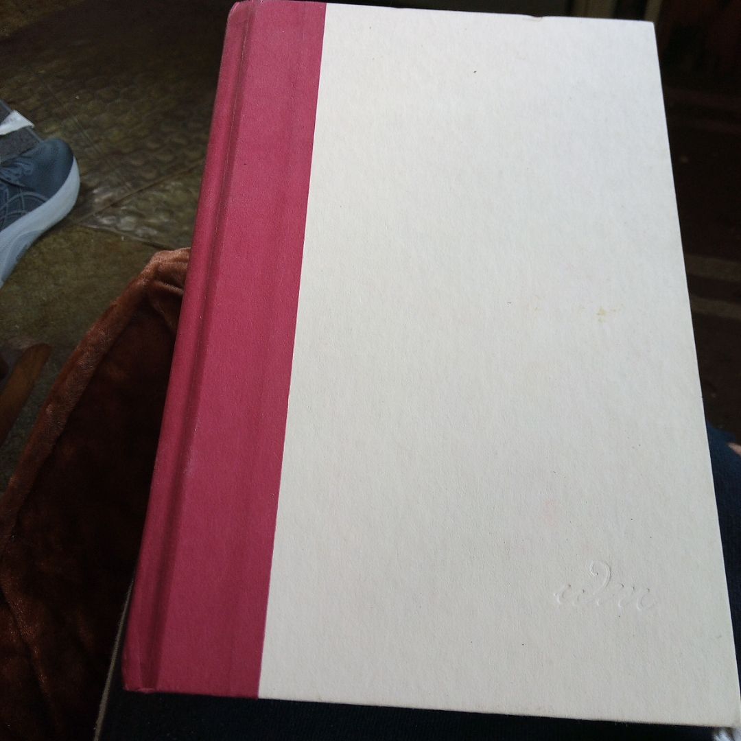 Who Discovered America?