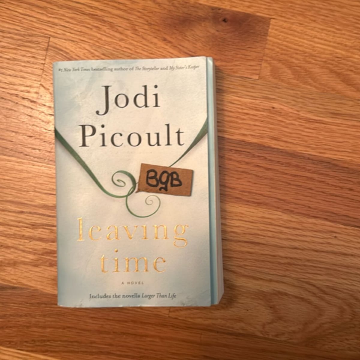 Leaving Time by Jodi Picoult