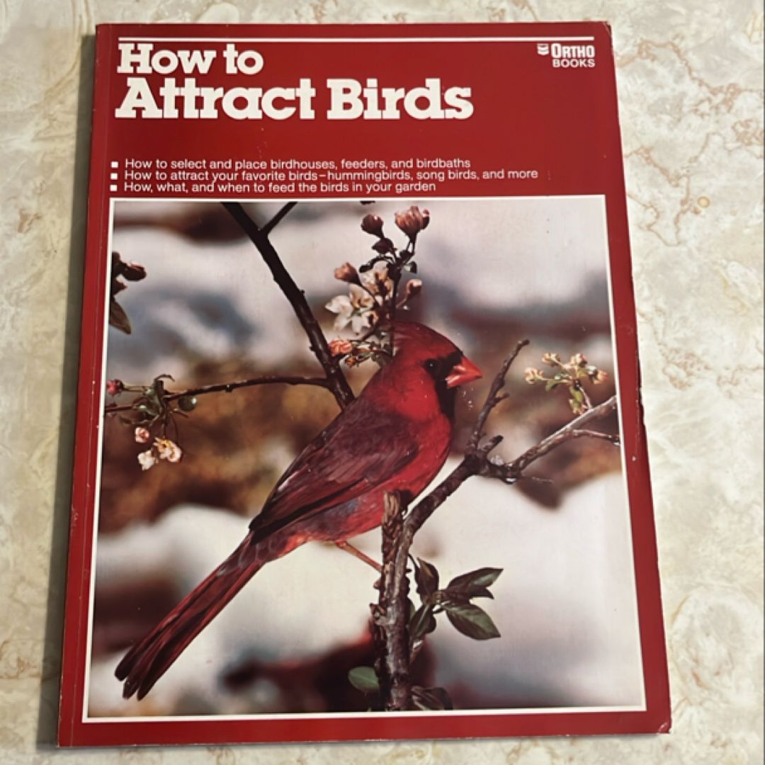 How to Attract Birds