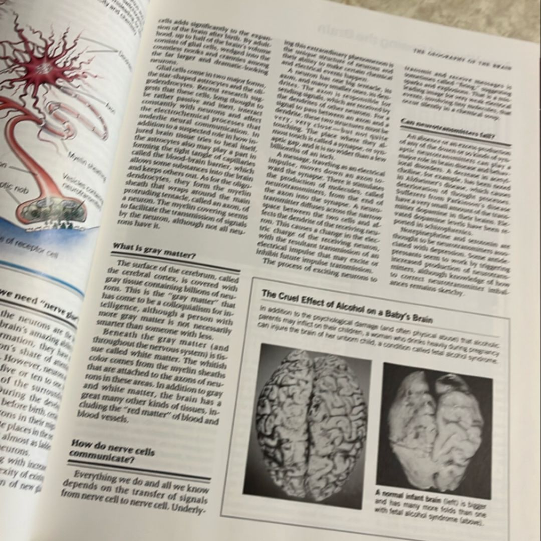 Reader's Digest ABC's of the Human Mind by Reader's Digest Editors