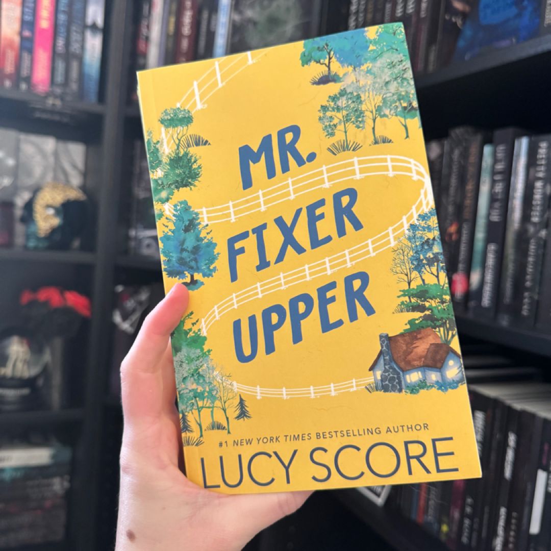 Mr. Fixer Upper