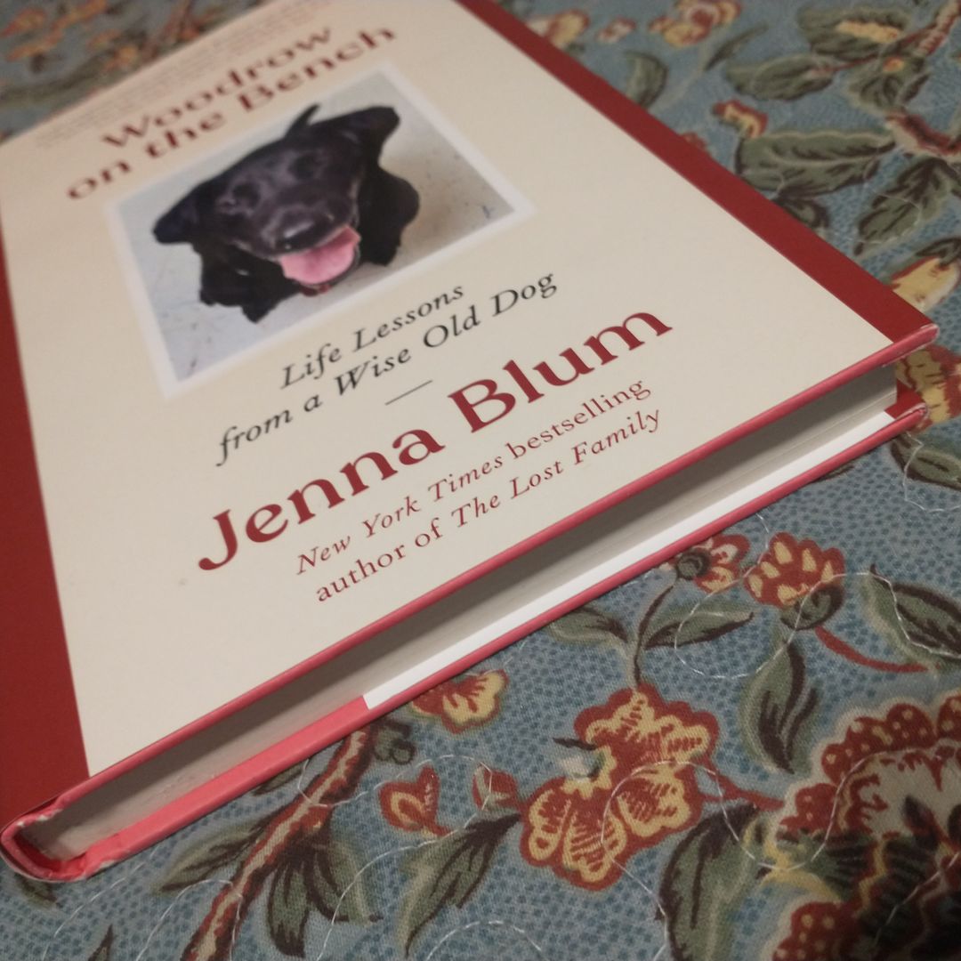 Woodrow on the Bench