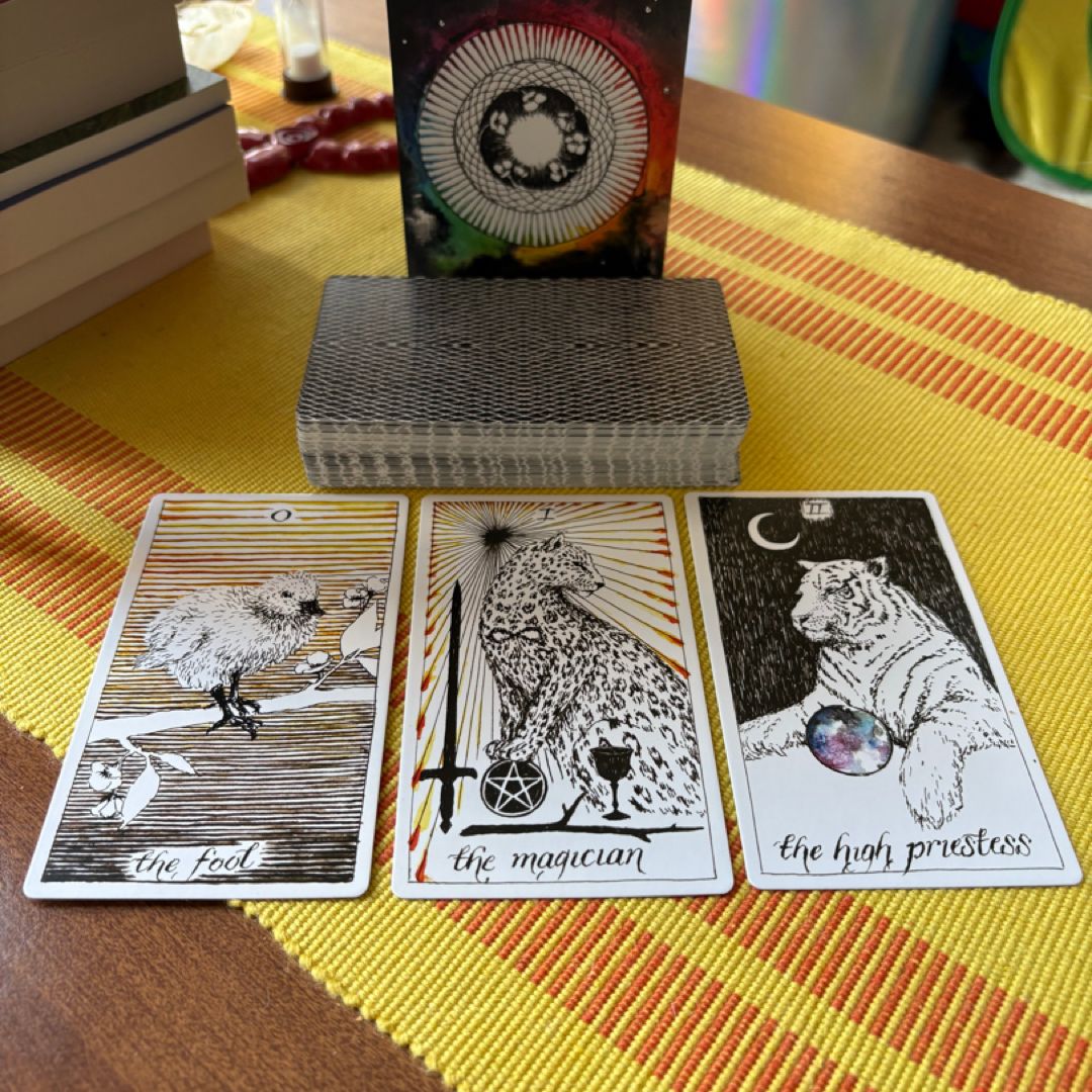 The Wild Unknown Tarot Guidebook