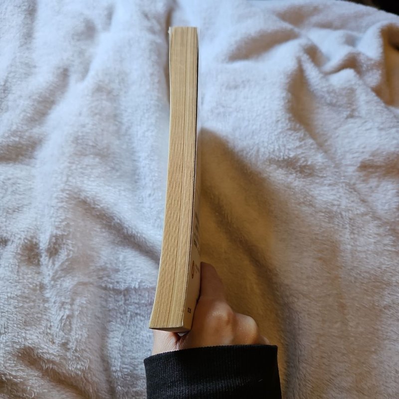 Bridget Jones's Diary