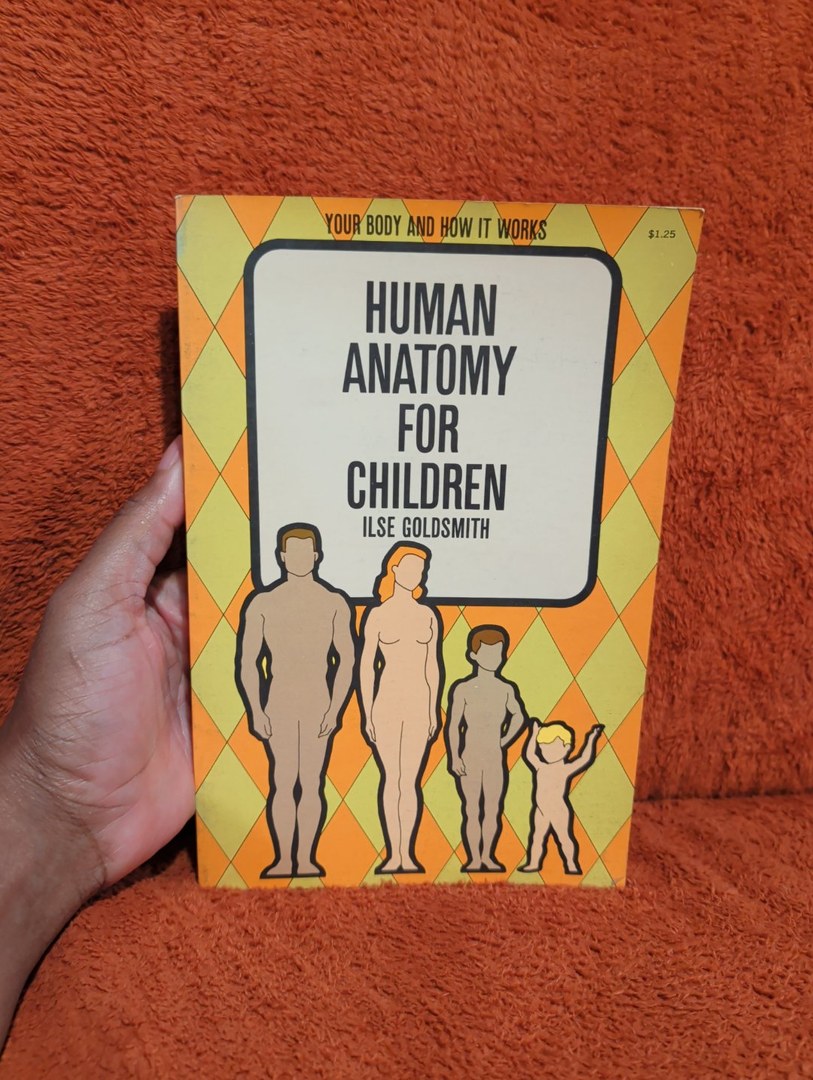 Human Anatomy For Children 