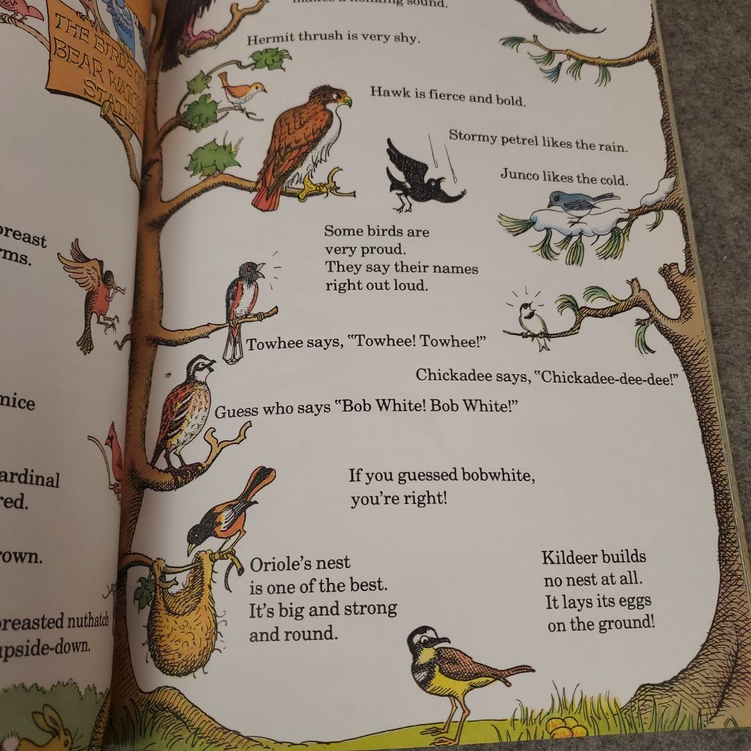 The Berenstain Bears' Big Book of Science and Nature