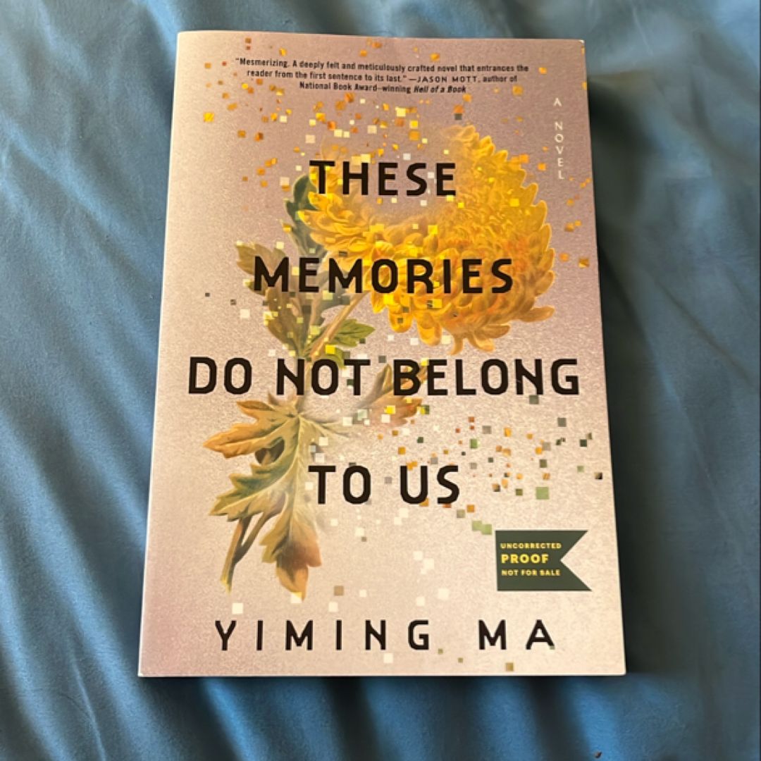 These Memories Do Not Belong to Us