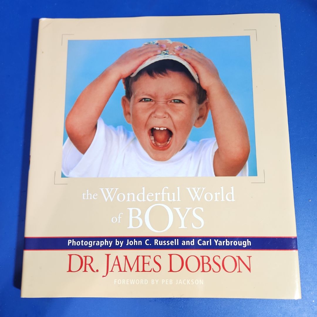 The Wonderful World of Boys