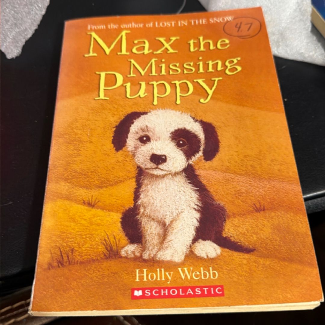 Max the Missing Puppy