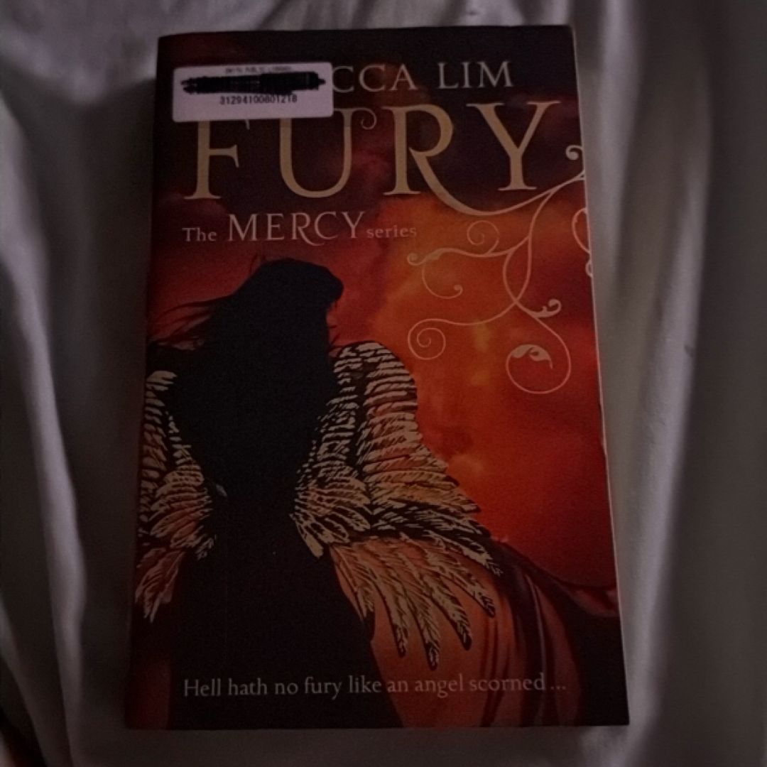 Fury (Mercy, Book 4)