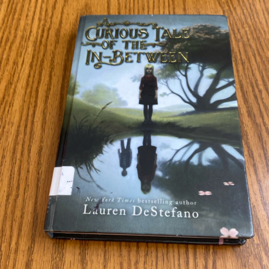A Curious Tale of the In-Between