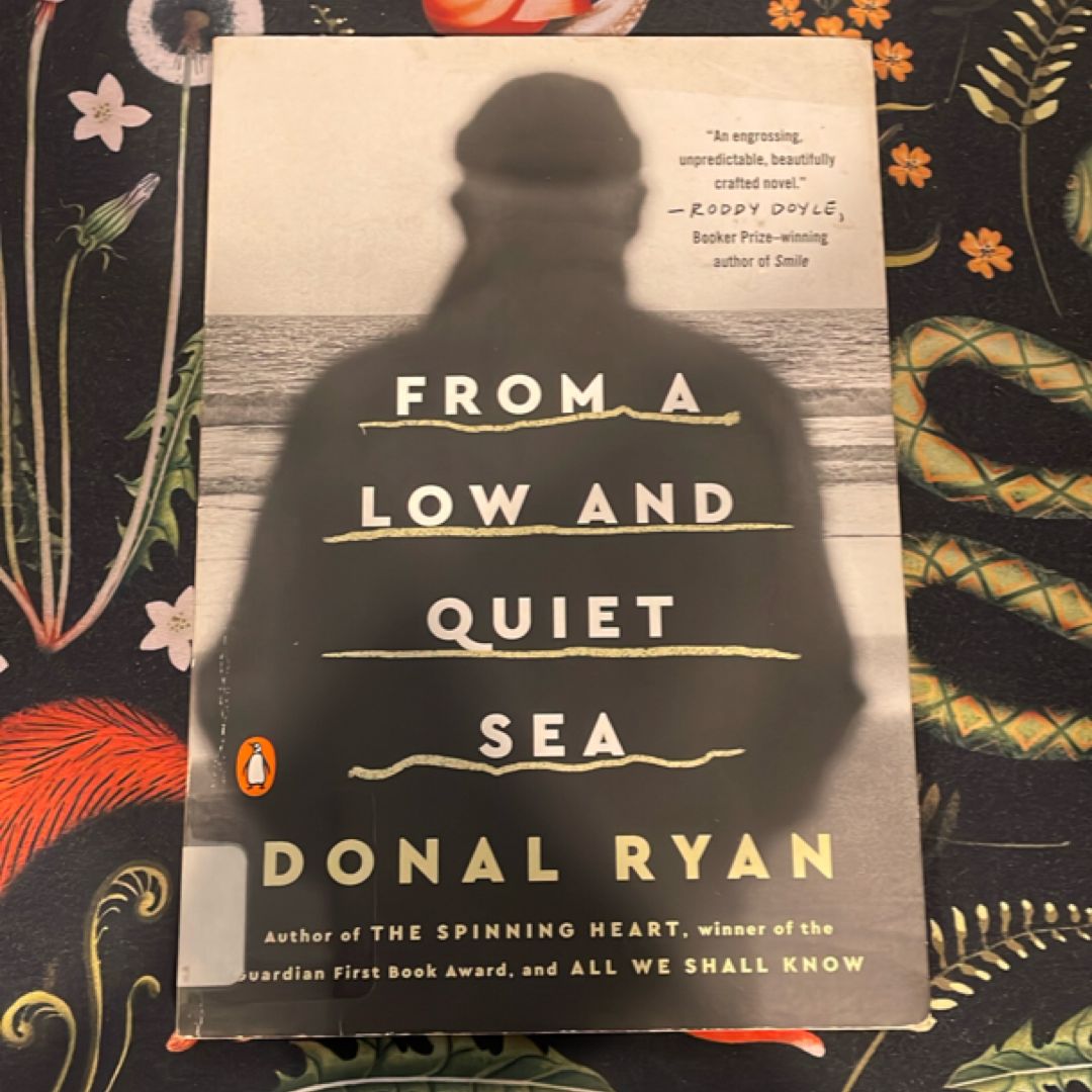 From a Low and Quiet Sea