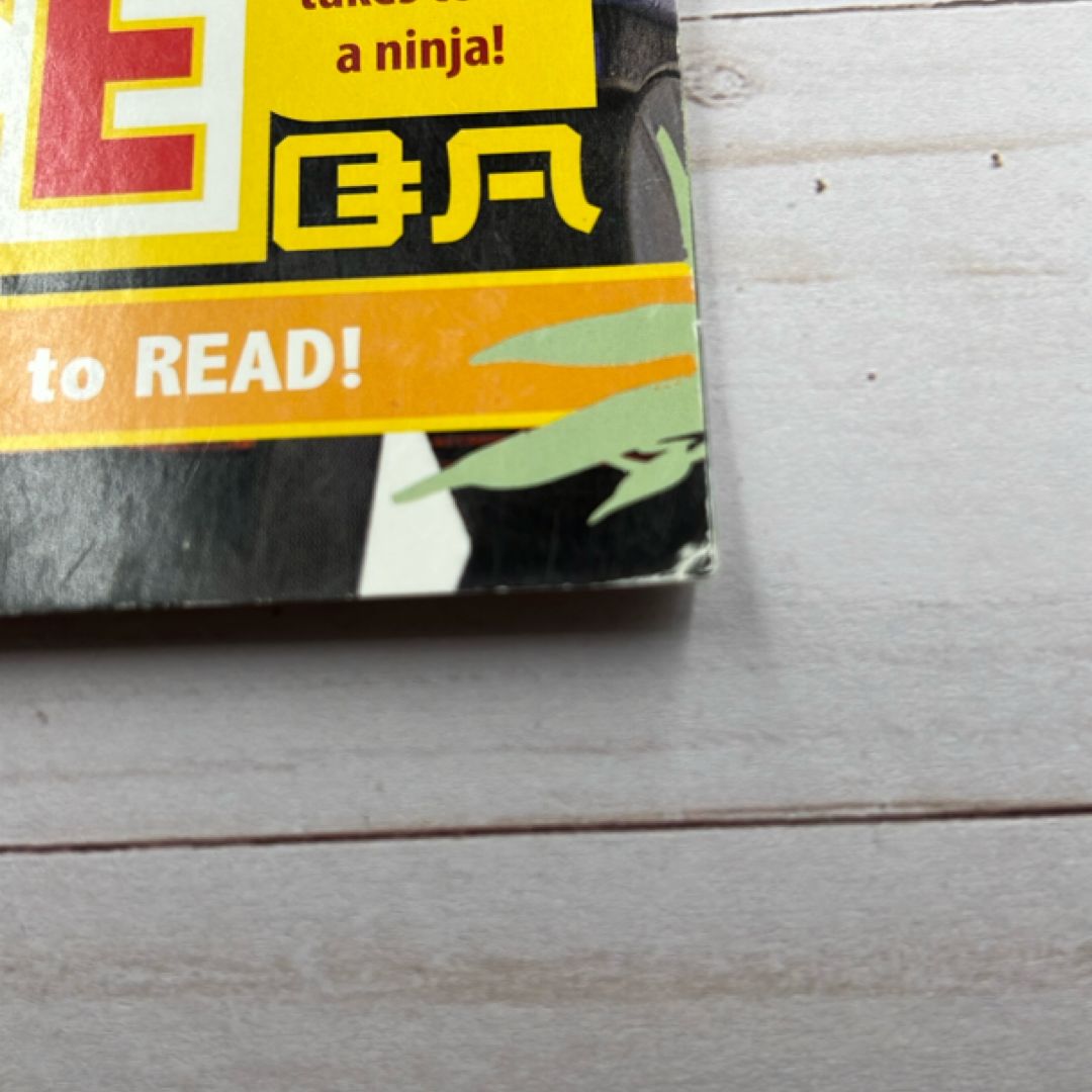 DK Readers L2: the LEGO® NINJAGO® MOVIE : Secret Ninja Force