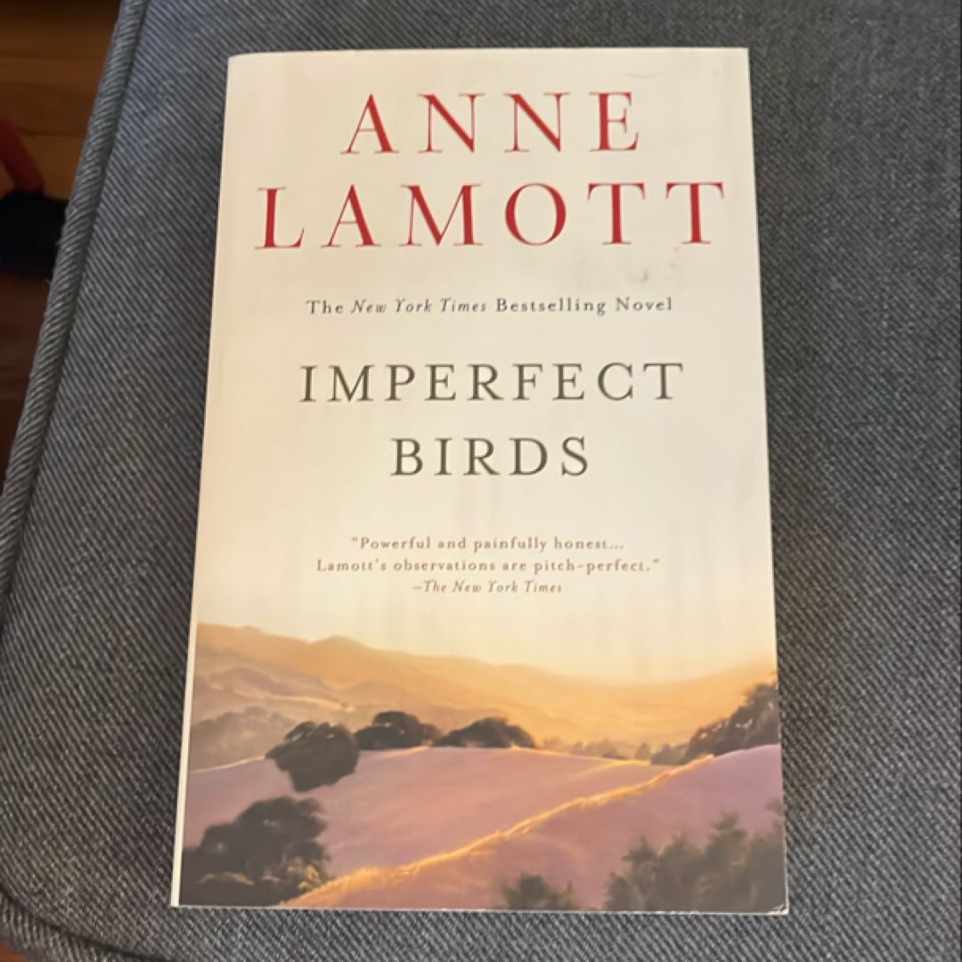 Imperfect Birds