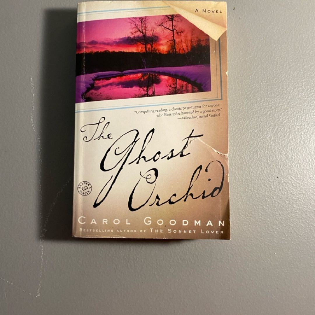The Ghost Orchid