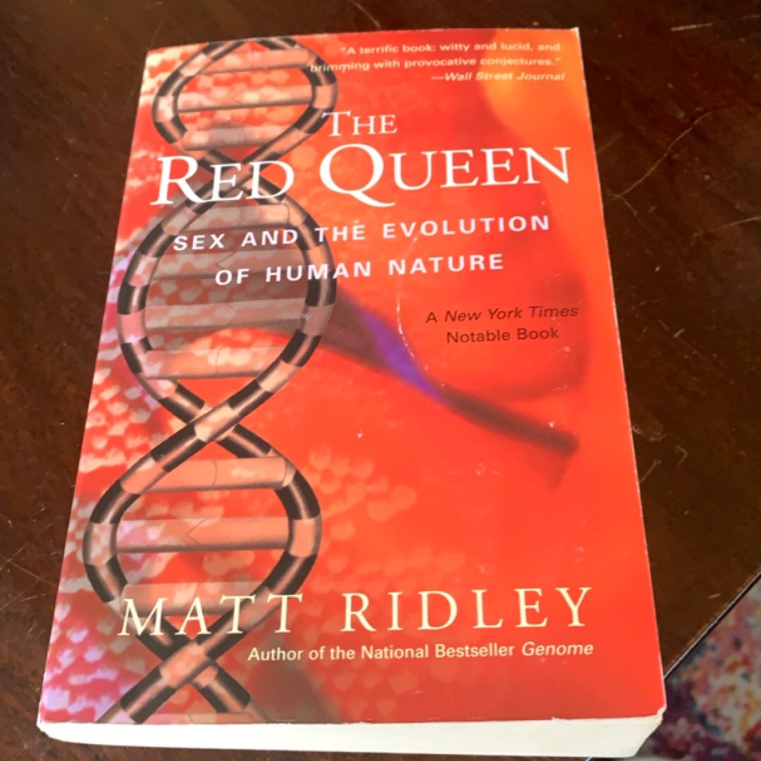 The Red Queen