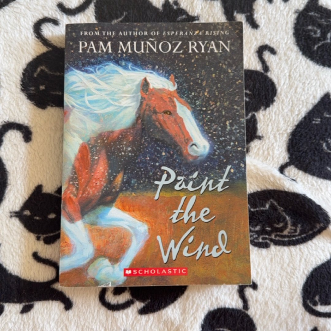 Paint the Wind