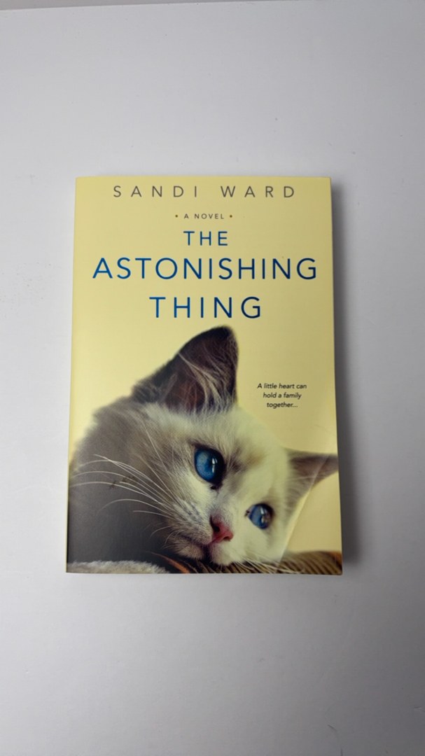 Astonishing Thing The