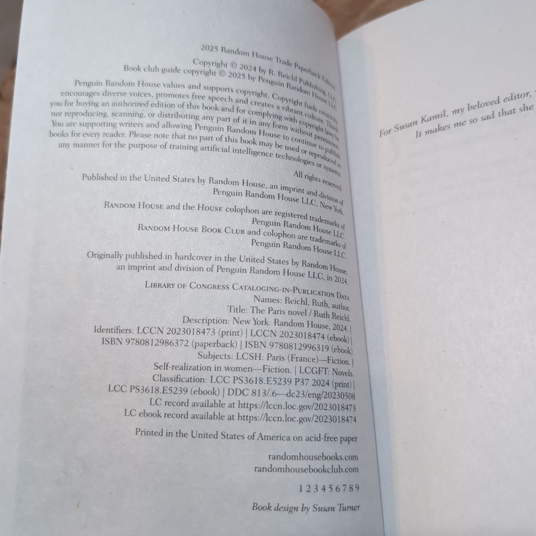 The Paris Novel