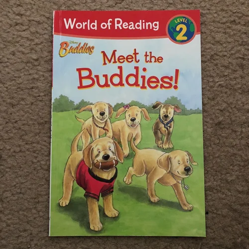 Disney Buddies Meet the Buddies