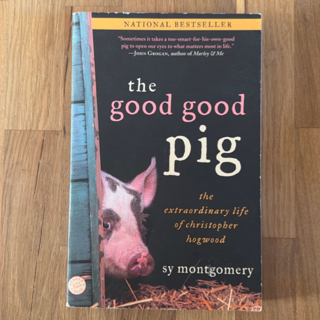 The Good Good Pig