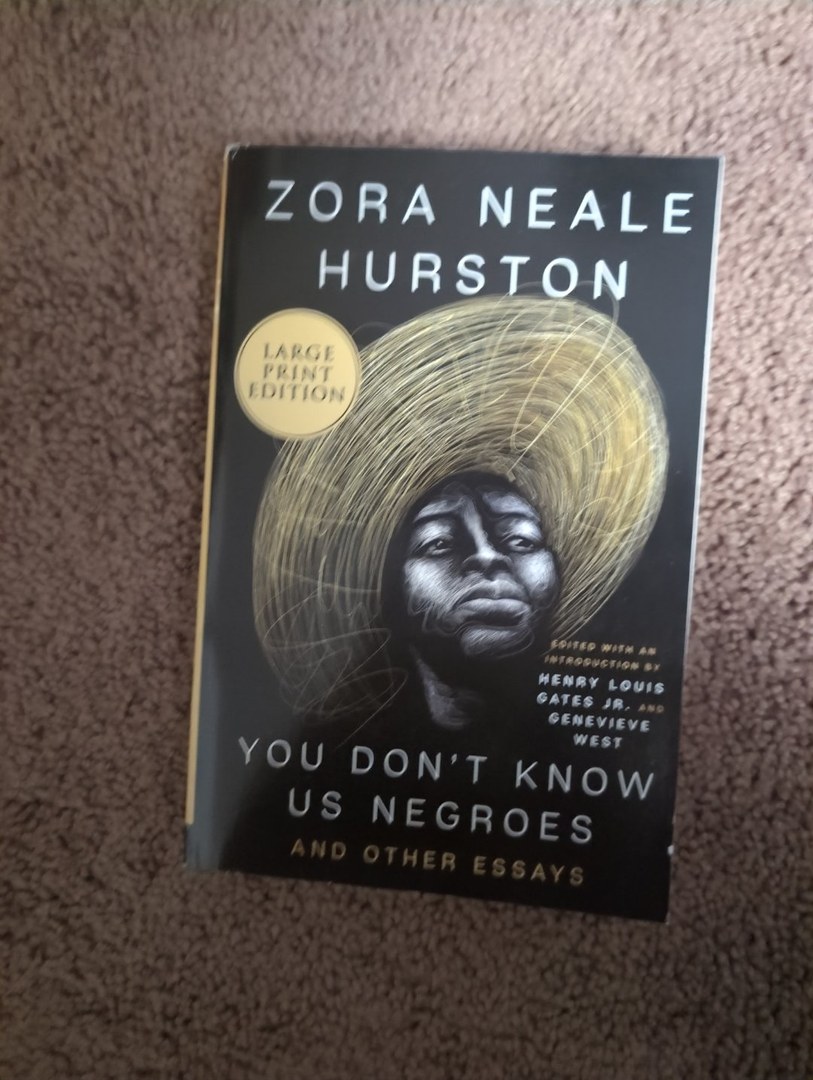 You Don't Know Us Negroes and Other Essays