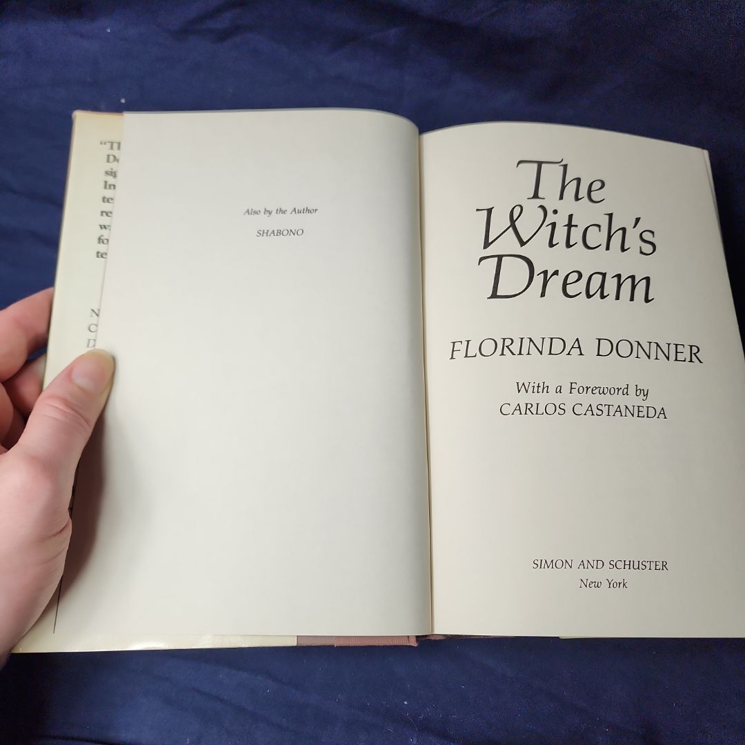 The Witch's Dream