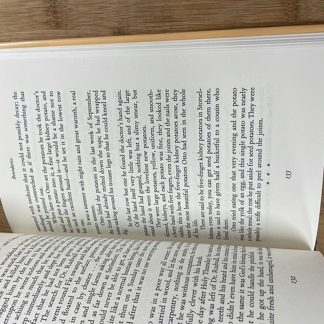 Merab's Beauty and Other Stories