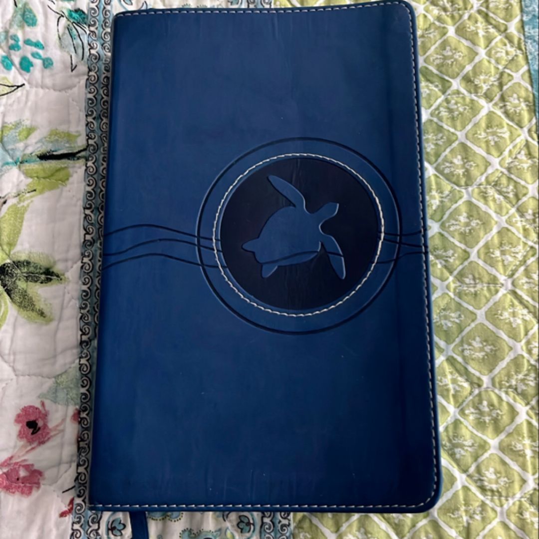 Adventure Bible for Early Readers