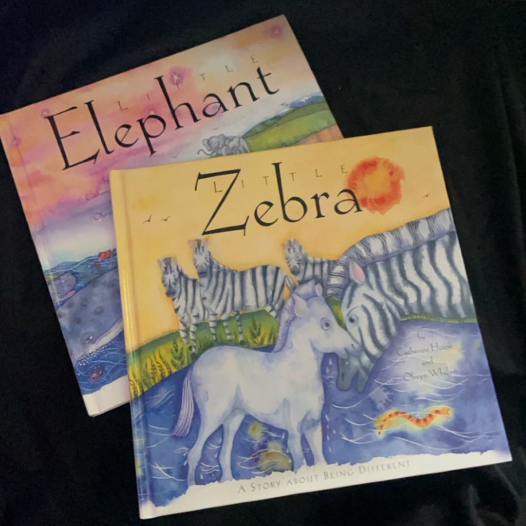 Little Zebra
