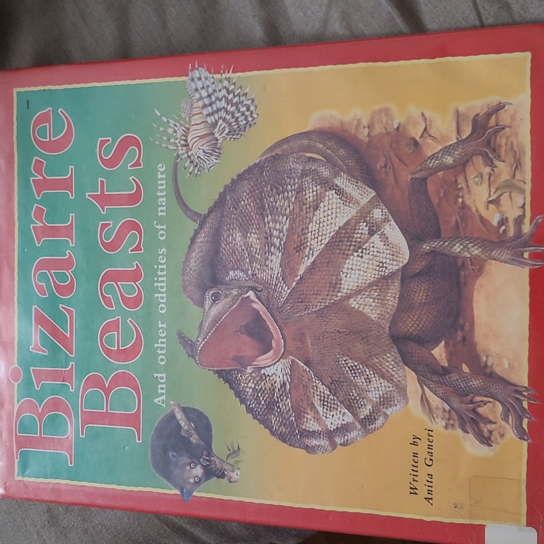 Bizarre Beasts