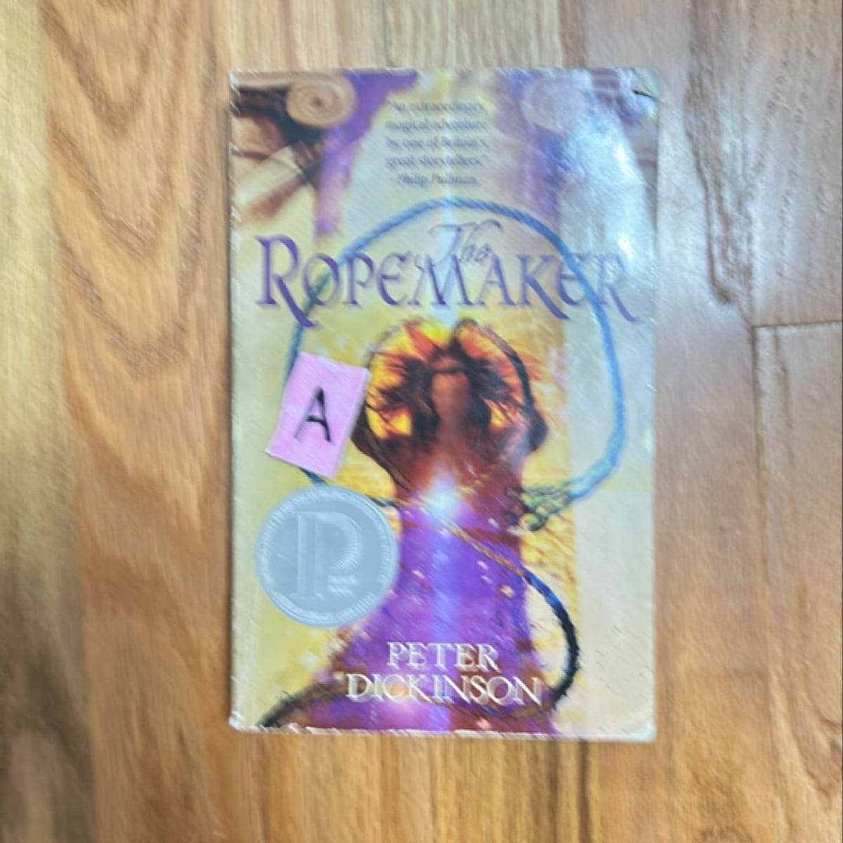 The Ropemaker by Peter Dickinson
