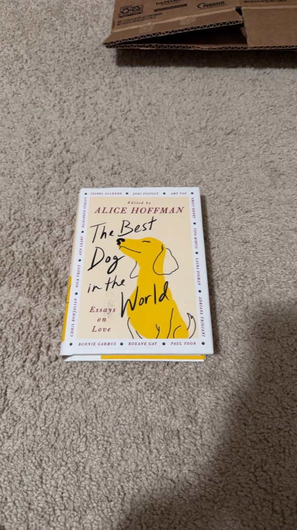 The Best Dog in the World
